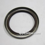 发动机曲轴前油封10050