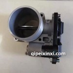 100PG5节气门总成
