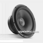 PF651B套装扬声器