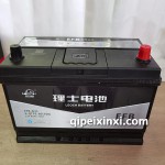 EFB-D31理士蓄电池
