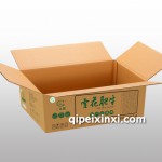 快销品中转包装箱