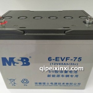 6-EVF-75蓄电池