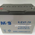 6-EVF-75蓄电池