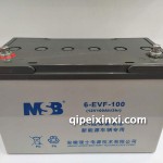 6-EVF-100蓄电池