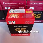 6-QW-35（332）电瓶