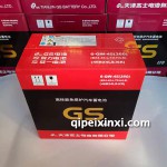 6-QW-45（360）-46B24LS电瓶