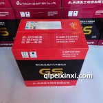 6-QW-60（450）电池