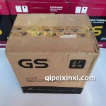 6-QW-60（450）蓄电池