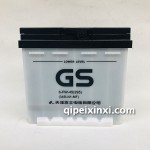 6-FW-45(295)蓄电池