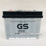 6-QW-60(584)电瓶