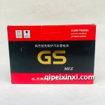 6-QW-70（620）电瓶