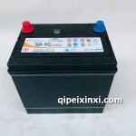 6-QTPA-60（610）电池