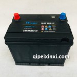 蓄电池6-QW-60（48