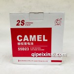 蓄电池6-QW-60（480）