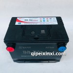 蓄电池6-QW-60（500）-L