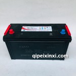 6-QW-195min（850）-RN120电瓶电池