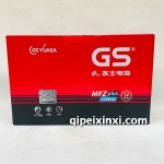 6-QW-198min（650）电瓶电池