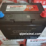 6-QW-90min(470)电瓶