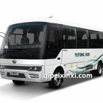 D6E(ZK6602BEV)，车辆用途：企事业通勤客车、客运客车、旅游客车、公交客车