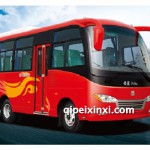 中通LCK6660N5E客车（天然气国五10-23座）