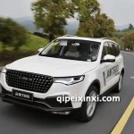 T800全車件