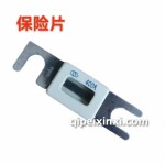 保险片