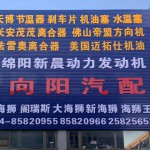 沈阳向阳金杯海狮阁瑞斯配件