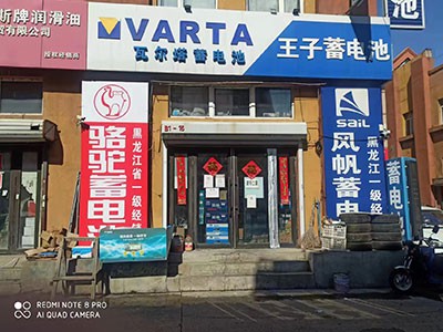 哈尔滨王子瓦尔塔蓄电池一级代理商 - 