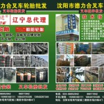 沈陽市德力合叉車配件叉車輪胎批發(fā)