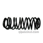 捷達(dá)（王）、桑塔納、紅旗、彈簧