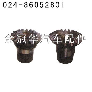 AOE、大江后锥齿 AOE、大江后锥齿