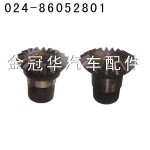 AOE、大江后錐齒