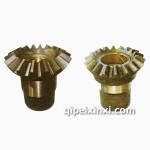 AOE、大江后錐齒