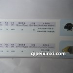 調(diào)節(jié)器