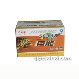 563 18巨能电瓶