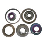 自動變速箱活塞配件