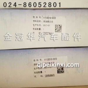 81D喷油器总成 81D喷油器总成
