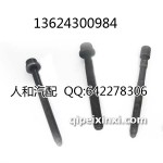 捷达（王）缸盖螺丝