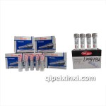 博世歐亞噴油嘴/美國德爾福噴油嘴