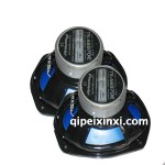 汽車電腦維修-6x9揚聲器