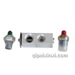 汽車空調(diào)膨脹閥