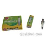 日本NGK燃?xì)鈱Ｓ没鸹ㄈ? title=