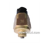 0068DS法式倒車門(mén)開(kāi)關(guān)