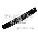 金杯輕卡領(lǐng)騏前裝飾板