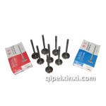 慶鈴天皇100P進(jìn)排汽門(mén)