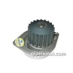 東風(fēng)雪鐵龍富康水泵