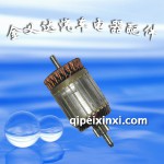 捷達(dá)08起動機轉(zhuǎn)子-法雷奧
