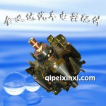 捷达柴油发电机转子-120