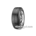 米其林MICHELIN LATITUDEDIAMARIS輪胎