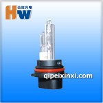 9007_2氙氣燈